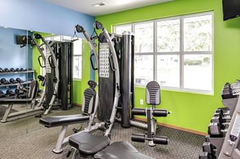 A gym with a variety of equipment including treadmills, weights, and exercise machines.